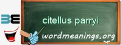 WordMeaning blackboard for citellus parryi